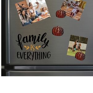 USC Gamecocks Refrigerator Magnet Set Of 3